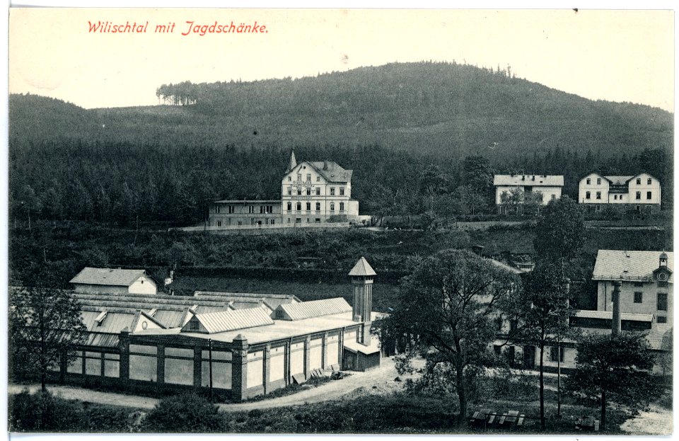 15941-Wilischtal-1913-Wilischtal mit Jagdschänke-Brück & Sohn Kunstverlag