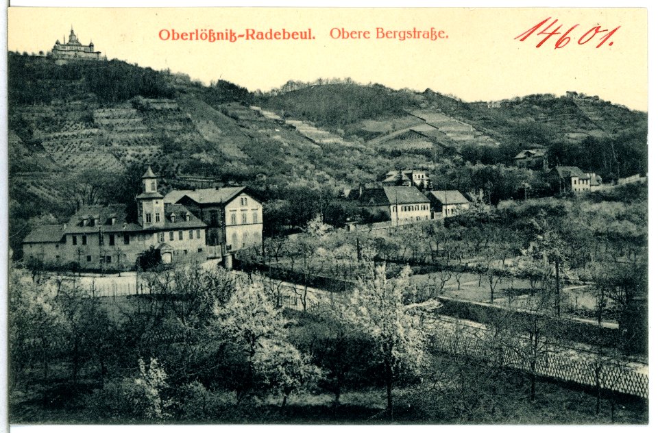 14601-Radebeul-1912-Obere Bergstraße - Blick zum Spitzhaus-Brück & Sohn Kunstverlag