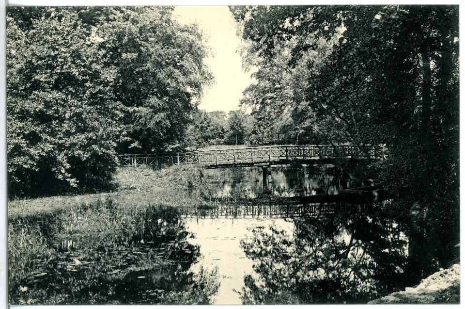 14228-Liebenwerda-1912-Im Wäldchen-Brück & Sohn Kunstverlag