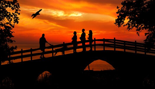 Watching bridge silhouette