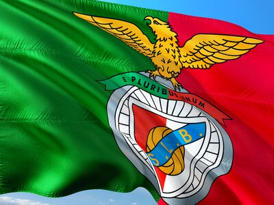Uefa champions league benfica lisbon