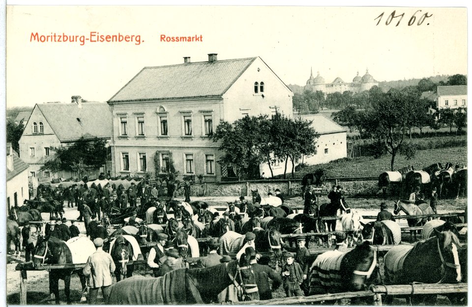 10160-Moritzburg-1908-Eisenberg, Roßmarkt-Brück & Sohn Kunstverlag