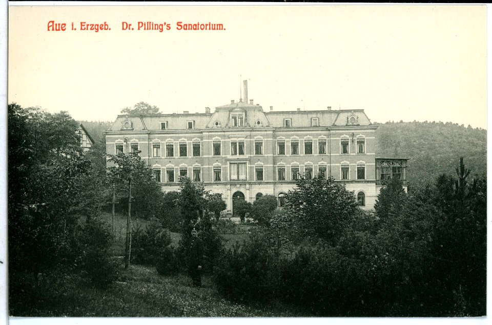 10806-Hartha-1909-Dr. Pillings - Sanatorium-Brück & Sohn Kunstverlag