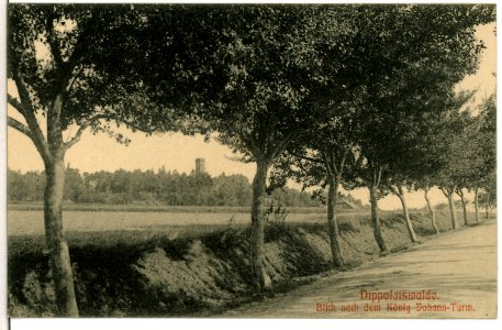 10513-Dippoldiswalde-1908-Blick nach dem König Johann Turm-Brück & Sohn Kunstverlag