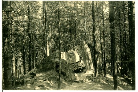 11143-Frauenstein-1910-Franz-Josefs-Ruine-Brück & Sohn Kunstverlag