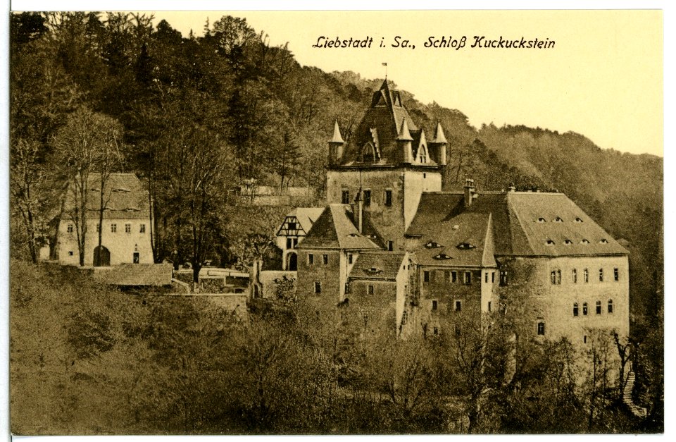 10816-Liebstadt-1909-Schloß Kuckucksstein-Brück & Sohn Kunstverlag