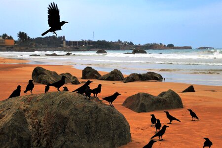 In flight beach sand