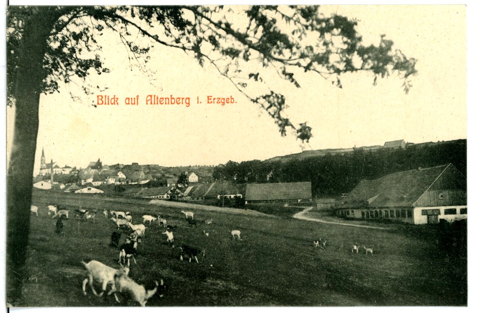 10597-Altenberg-1909-Blick auf Altenberg-Brück & Sohn Kunstverlag