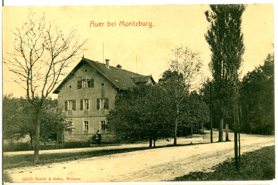 10579-Moritzburg-1909-Auer-Brück & Sohn Kunstverlag