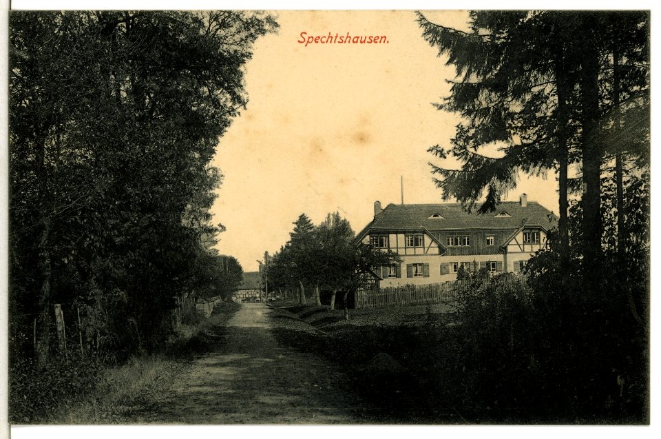 10556-Spechtshausen-1909-Ortsansicht-Brück & Sohn Kunstverlag