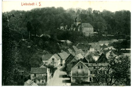 10814-Liebstadt-1909-Blick auf Liebstadt-Brück & Sohn Kunstverlag