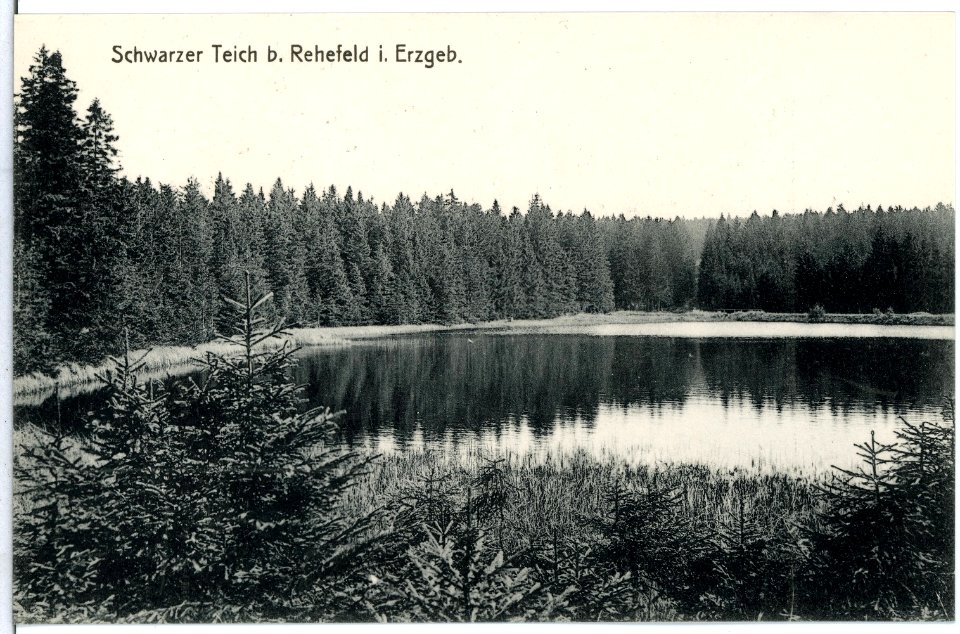 10531-Rehefeld-1908-Schwarzer Teich-Brück & Sohn Kunstverlag