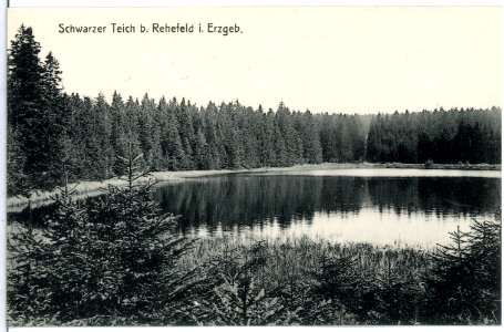 10531-Rehefeld-1908-Schwarzer Teich-Brück & Sohn Kunstverlag