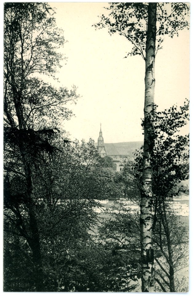 10905-Rochlitz-1909-Blick von der Junkerberg-Promenade auf die Kunigundenkirche-Brück & Sohn Kunstverlag