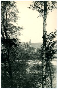 10905-Rochlitz-1909-Blick von der Junkerberg-Promenade auf die Kunigundenkirche-Brück & Sohn Kunstverlag