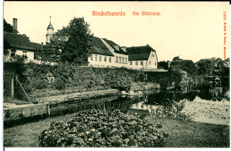 10460-Bischofswerda-1908-Am Mühlteich-Brück & Sohn Kunstverlag