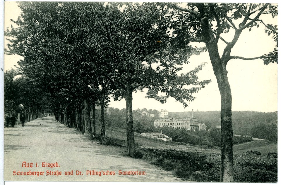 10772-Aue-1909-Schneeberger Straße und D. Pillingsches Sanatorium-Brück & Sohn Kunstverlag
