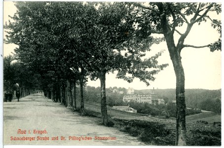 10772-Aue-1909-Schneeberger Straße und D. Pillingsches Sanatorium-Brück & Sohn Kunstverlag