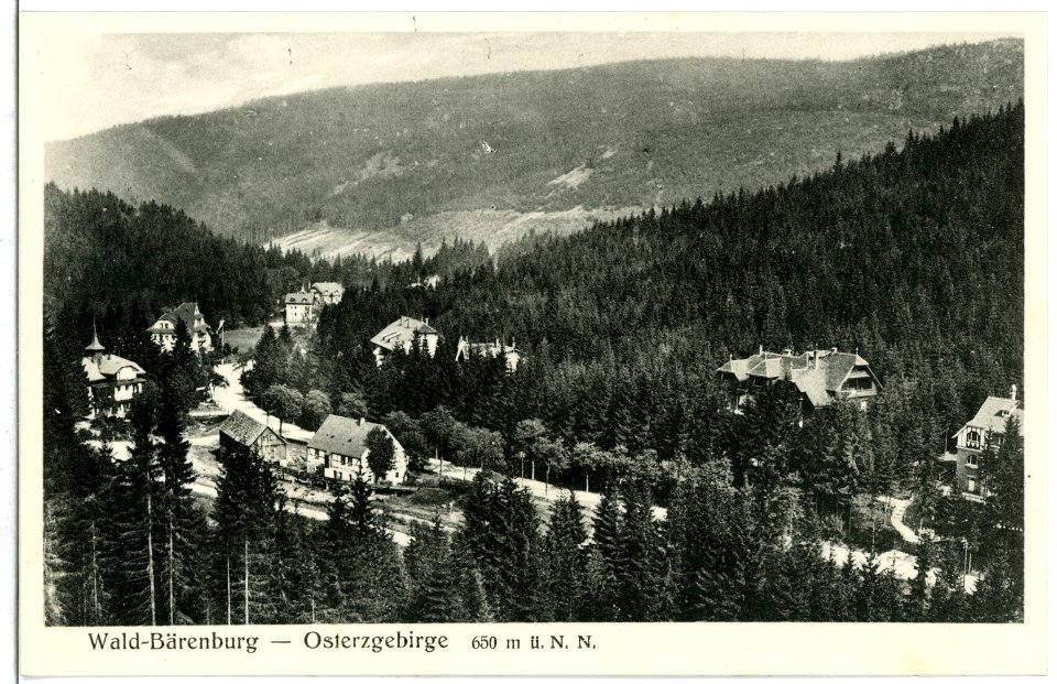 09809-Wald-Bärenburg-1908-Blick auf den Ort-Brück & Sohn Kunstverlag