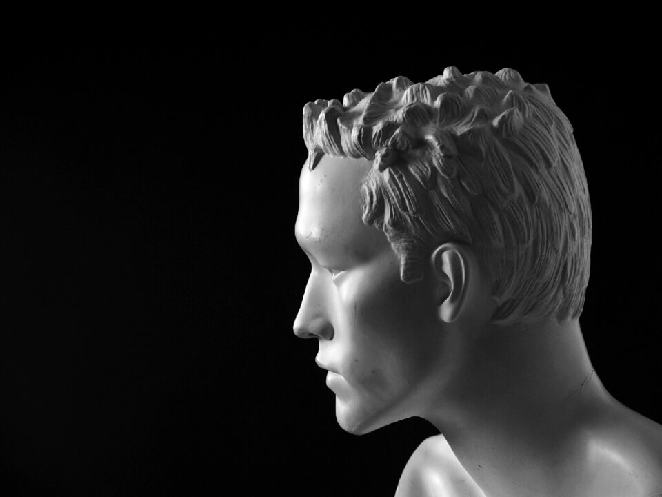 Art display dummy profile