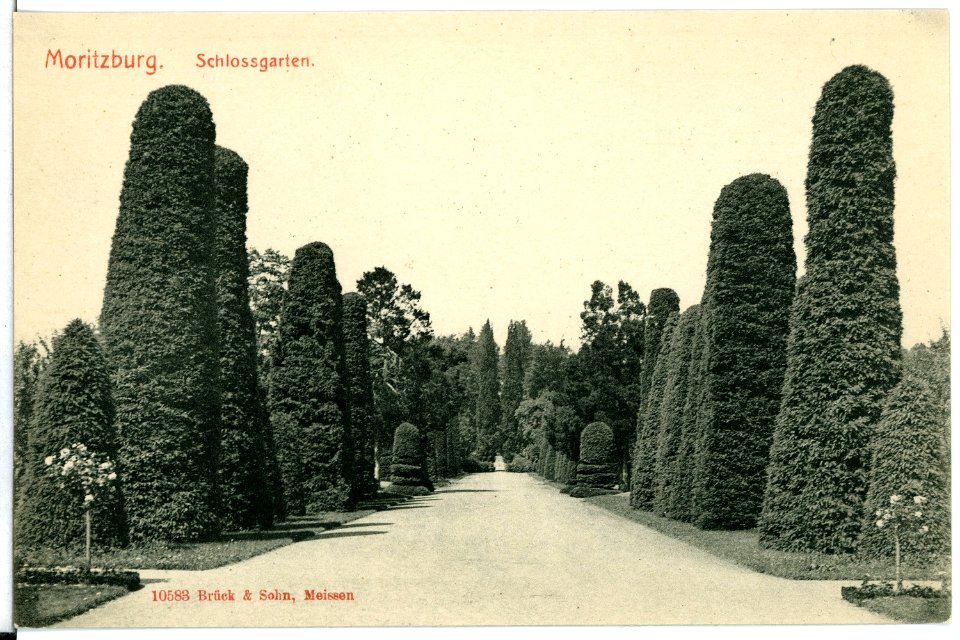 10583-Moritzburg-1909-Schloßgarten-Brück & Sohn Kunstverlag