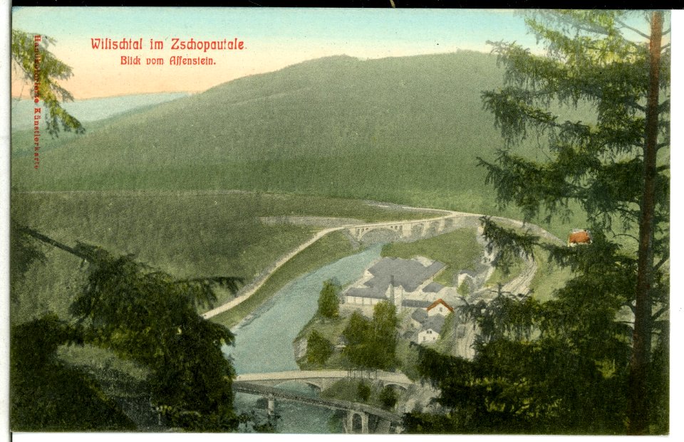 11130-Wilischtal-1910-Blick vom Affenstein ins Wilischtal-Brück & Sohn Kunstverlag