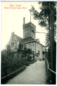 10784-Aue-1909-König - Friedrich-August-Warte-Brück & Sohn Kunstverlag