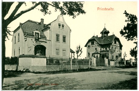 10449-Priestewitz-1908-Villen-Brück & Sohn Kunstverlag