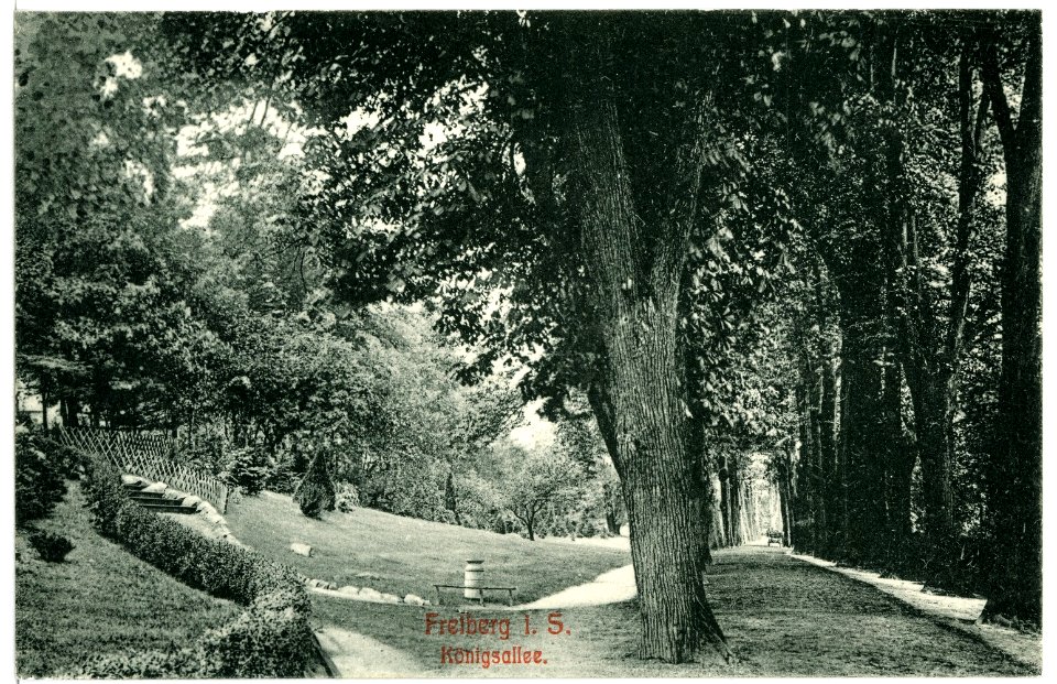 10491-Freiberg-1908-Königsallee-Brück & Sohn Kunstverlag