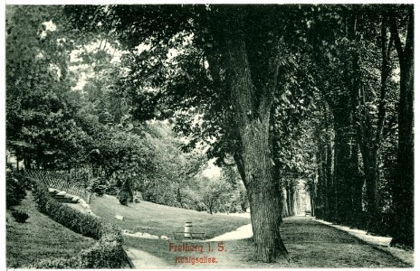 10491-Freiberg-1908-Königsallee-Brück & Sohn Kunstverlag