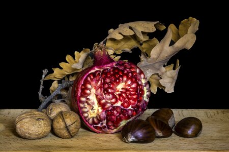 Pomegranate still life fruit photo