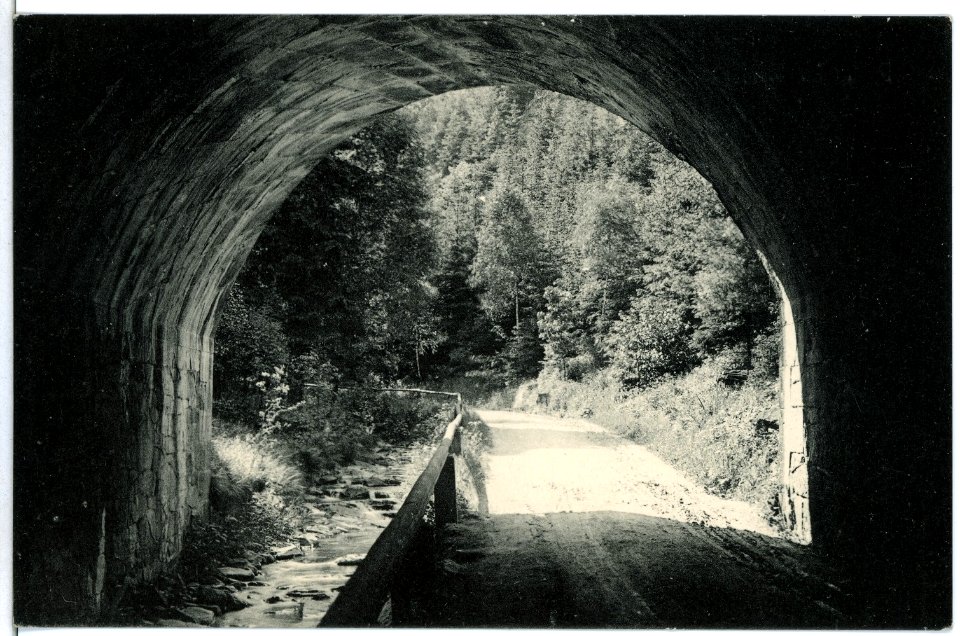 10572-Edle Krone-1909-im Weißeritztal-Brück & Sohn Kunstverlag