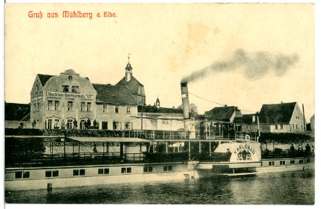 10724-Mühlberg-1909-Elbschloß-Restaurant und Dampfer Karlsbad-Brück & Sohn Kunstverlag
