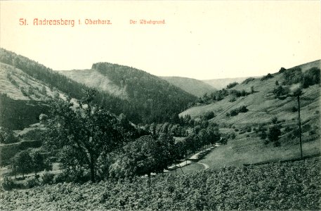 10720-St. Andreasberg-1909-Der Wäschgrund-Brück & Sohn Kunstverlag