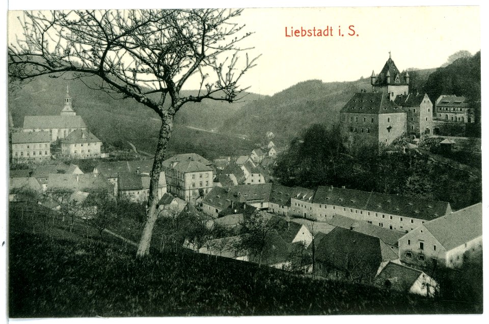 10813-Liebstadt-1909-Blick auf Liebstadt-Brück & Sohn Kunstverlag