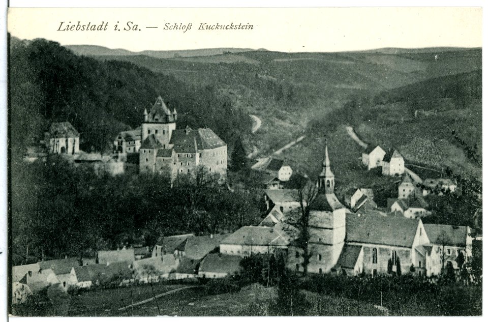 10818-Liebstadt-1909-Blick auf Liebstadt, Schloß Kuckuckstein-Brück & Sohn Kunstverlag