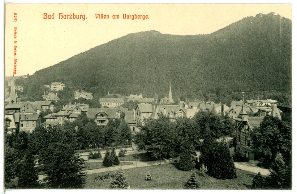09761-Bad Harzburg-1908-Villen am Burgberg-Brück & Sohn Kunstverlag