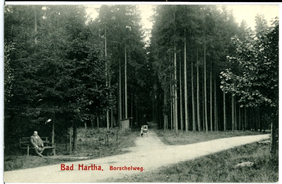 10555-Bad Hartha-1909-Borschelweg-Brück & Sohn Kunstverlag