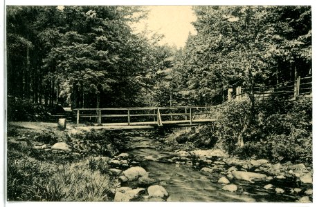 09784-Eckertal-1908-Dreiherrnbrücke-Brück & Sohn Kunstverlag