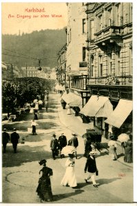 09929-Karlsbad-1908-Eingang Alte Wiese-Brück & Sohn Kunstverlag