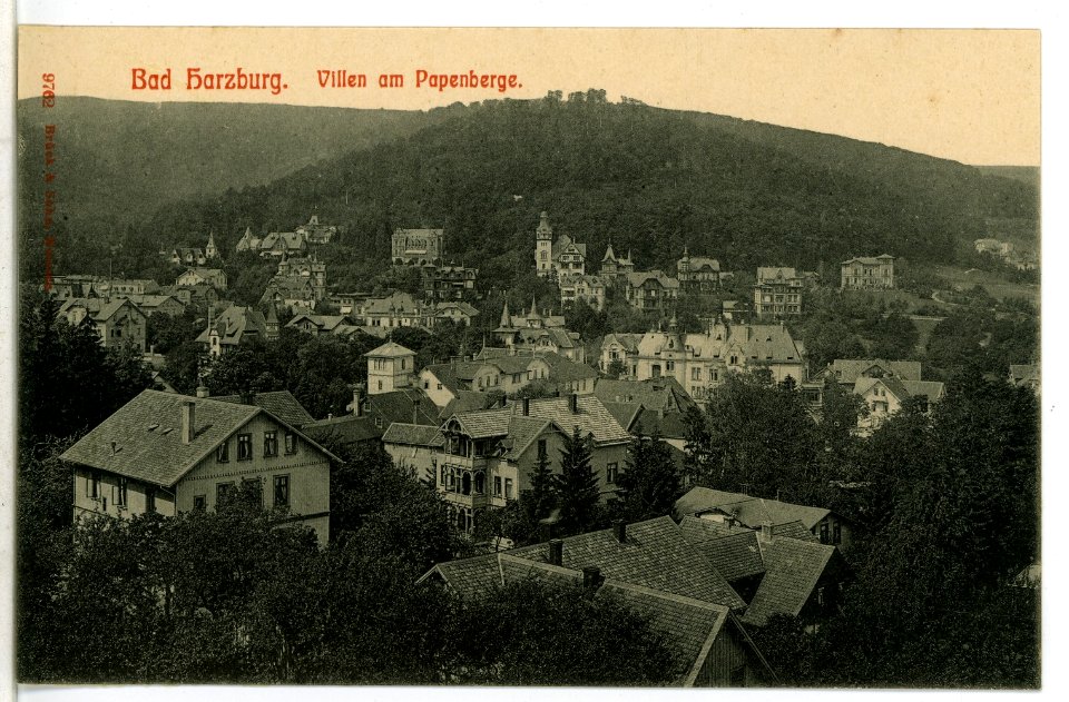 09762-Bad Harzburg-1908-Villen am Papenberg-Brück & Sohn Kunstverlag