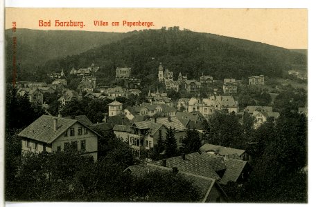 09762-Bad Harzburg-1908-Villen am Papenberg-Brück & Sohn Kunstverlag photo
