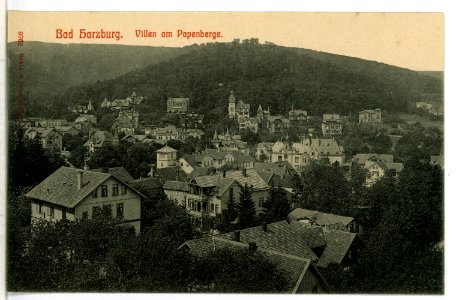 09762-Bad Harzburg-1908-Villen am Papenberg-Brück & Sohn Kunstverlag