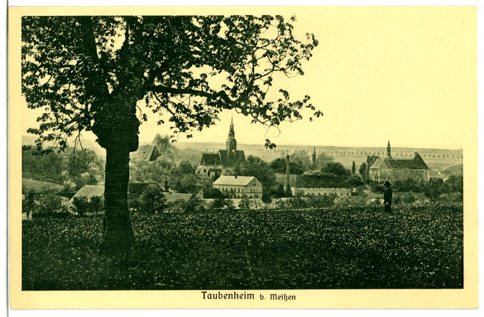 09882-Taubenheim (Klipphausen)-1908-Blick auf Taubenheim-Brück & Sohn Kunstverlag