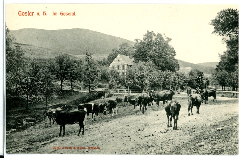 09758-Goslar-1908-im Gosetal-Brück & Sohn Kunstverlag