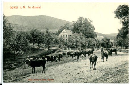09758-Goslar-1908-im Gosetal-Brück & Sohn Kunstverlag
