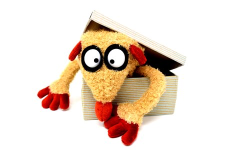 Stuffed animal soft toy toys