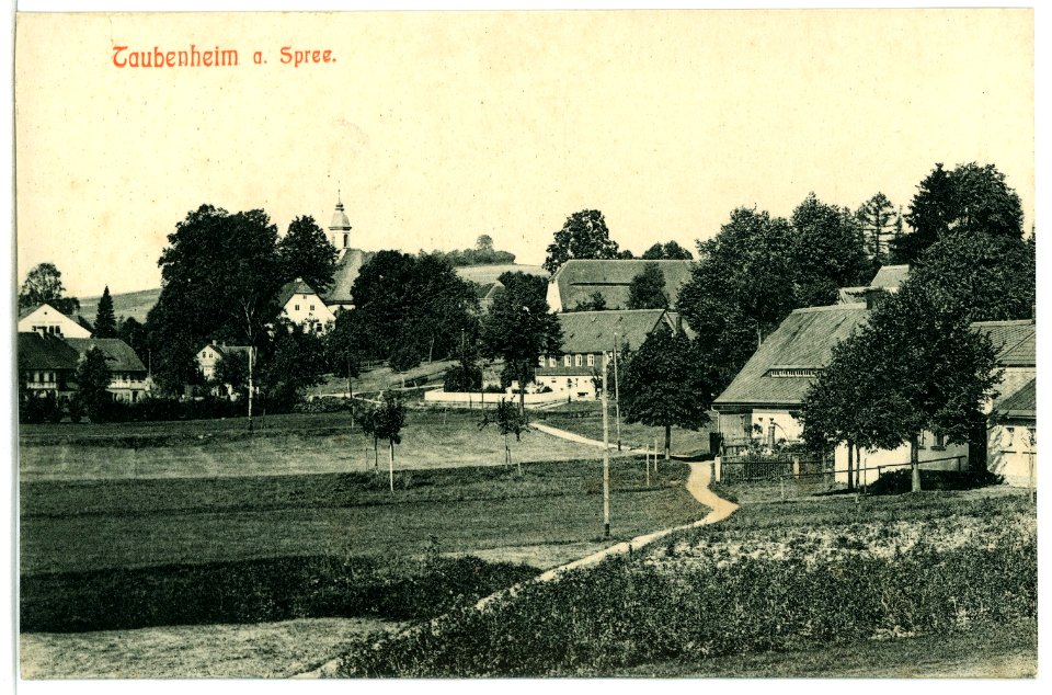 10702-Taubenheim-1909-Blick auf Taubenheim an der Spree-Brück & Sohn Kunstverlag
