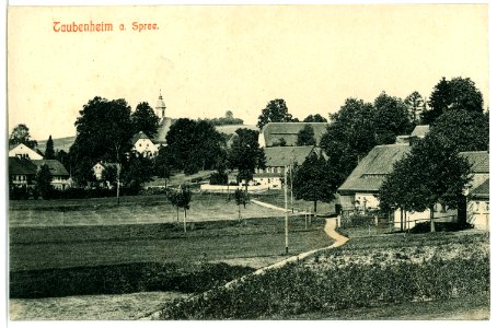 10702-Taubenheim-1909-Blick auf Taubenheim an der Spree-Brück & Sohn Kunstverlag