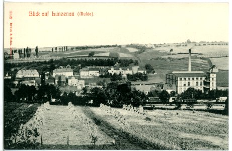 09598-Lunzenau-1908-Blick auf Lunzenau-Brück & Sohn Kunstverlag
